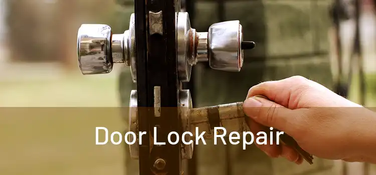 Door Lock Repair