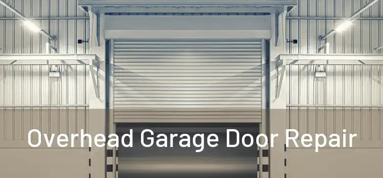 Overhead Garage Door Repair
